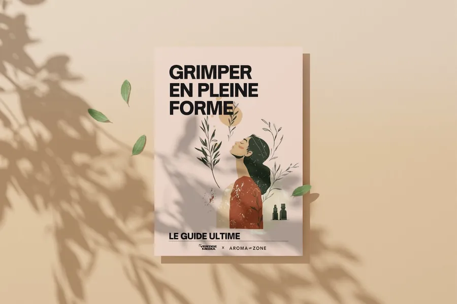 Grimper en pleine forme