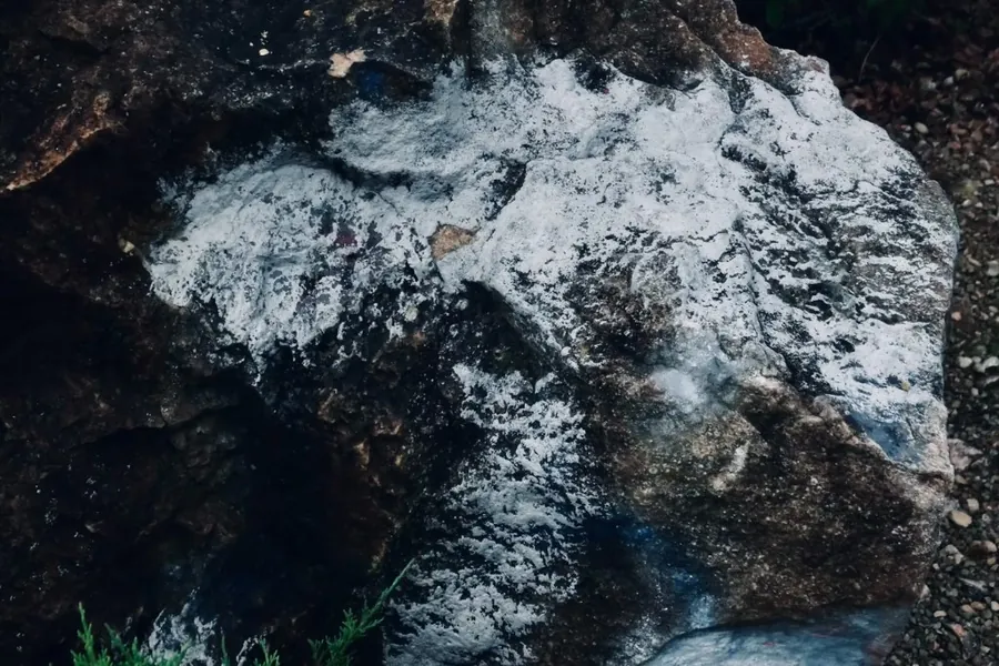Magnésie Fontainebleau