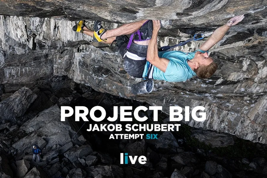Project Big