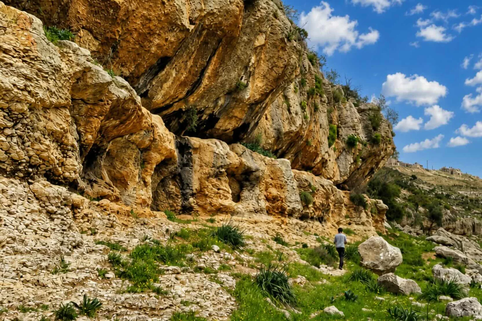 Grimpe en Palestine