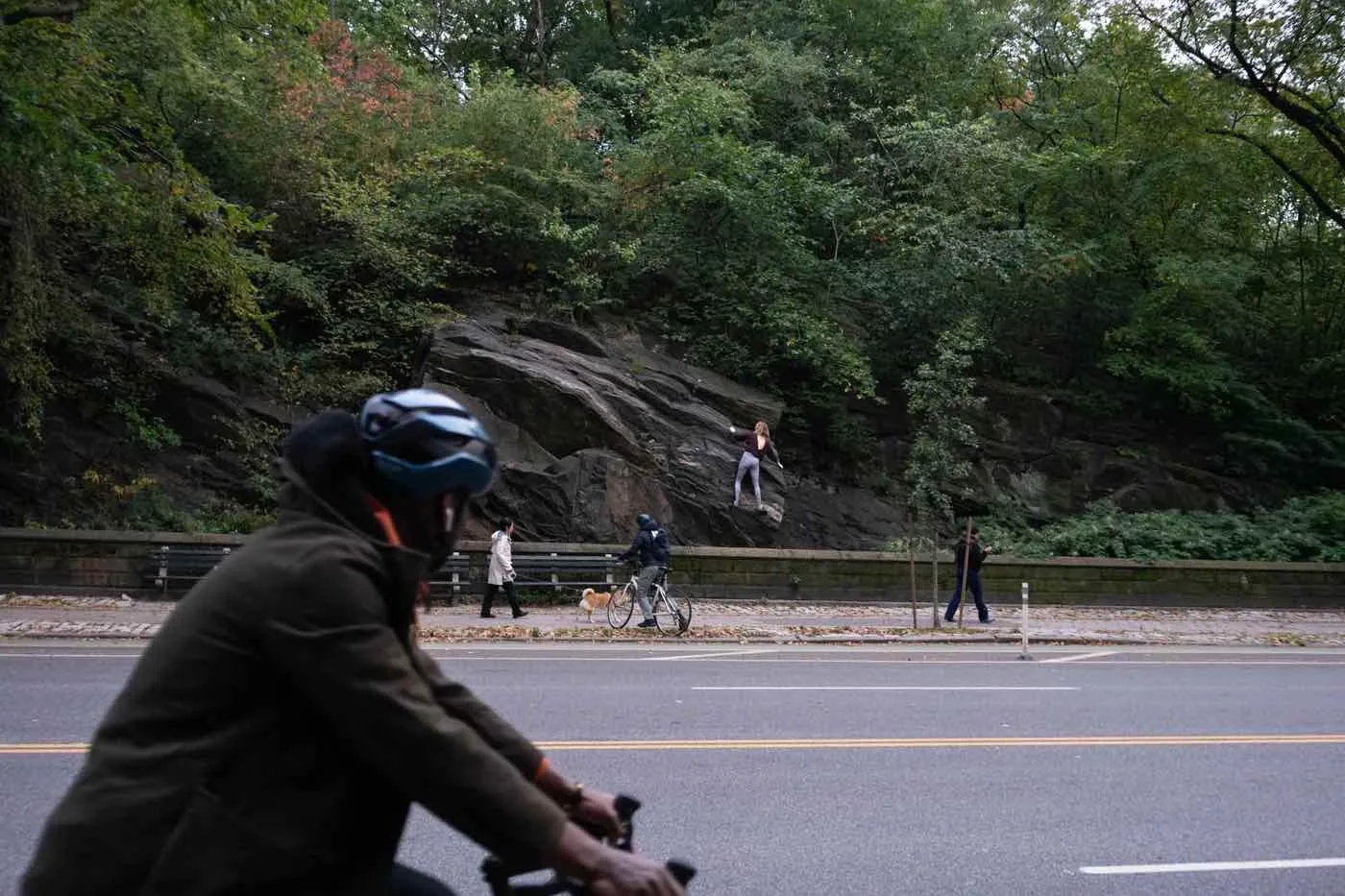 bloc à Central Park