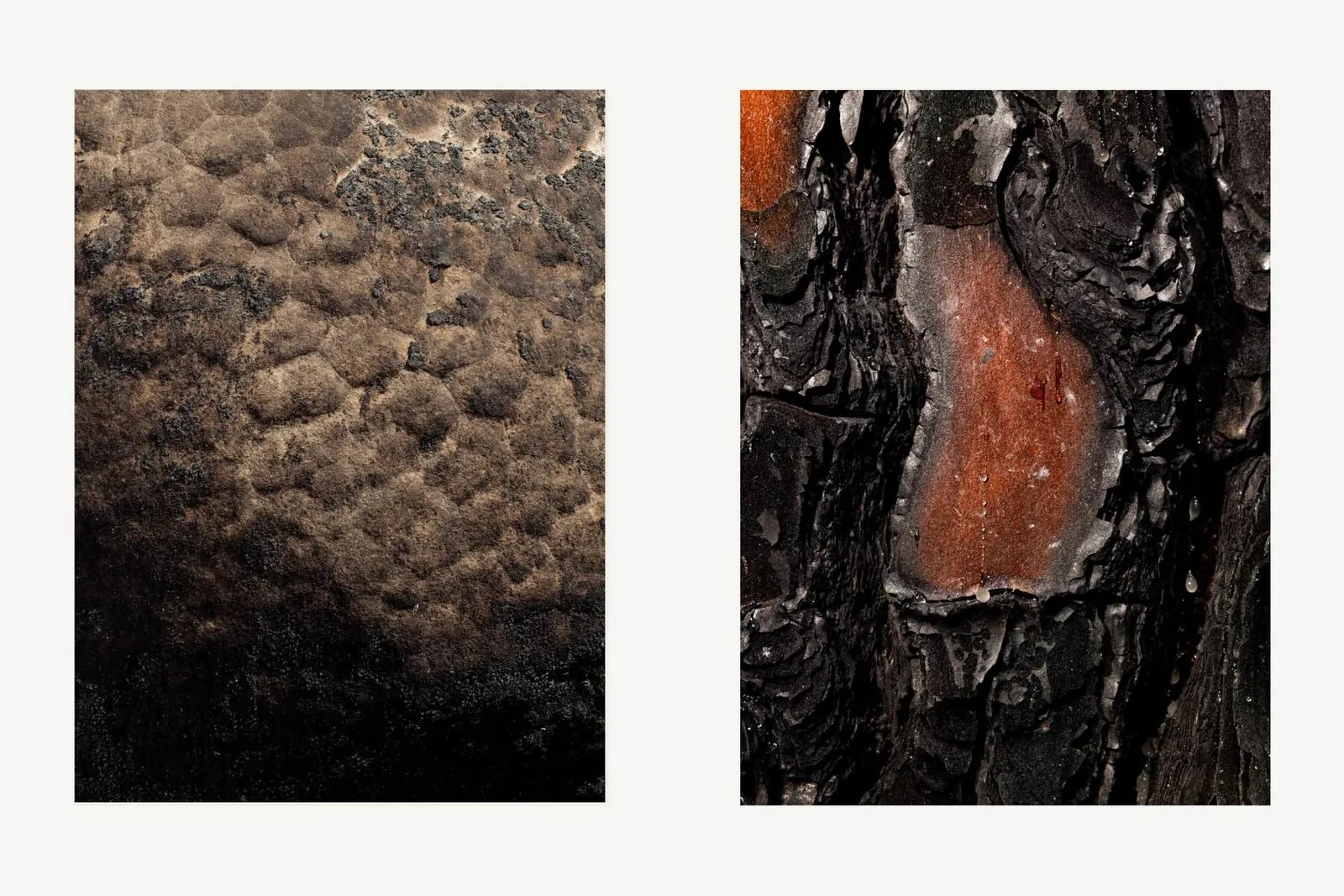 Le rocher et le bois calcinés des Trois Pignons
