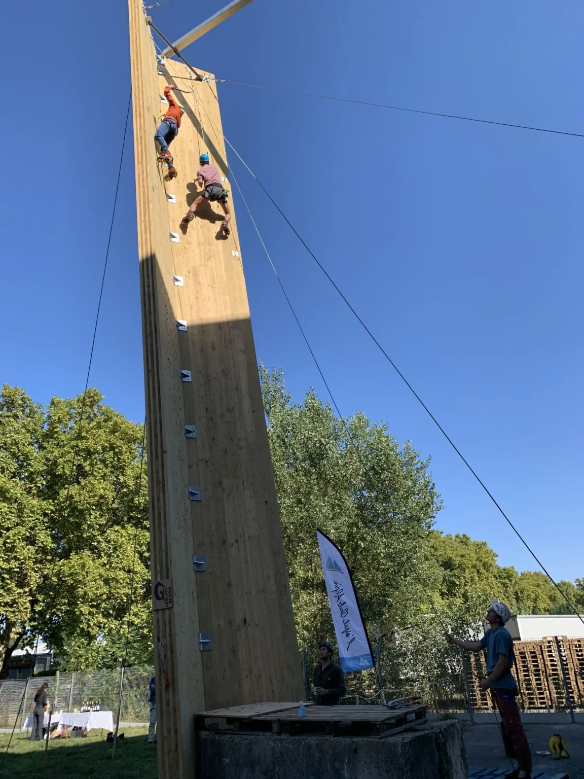 Escalade bois Bordeaux