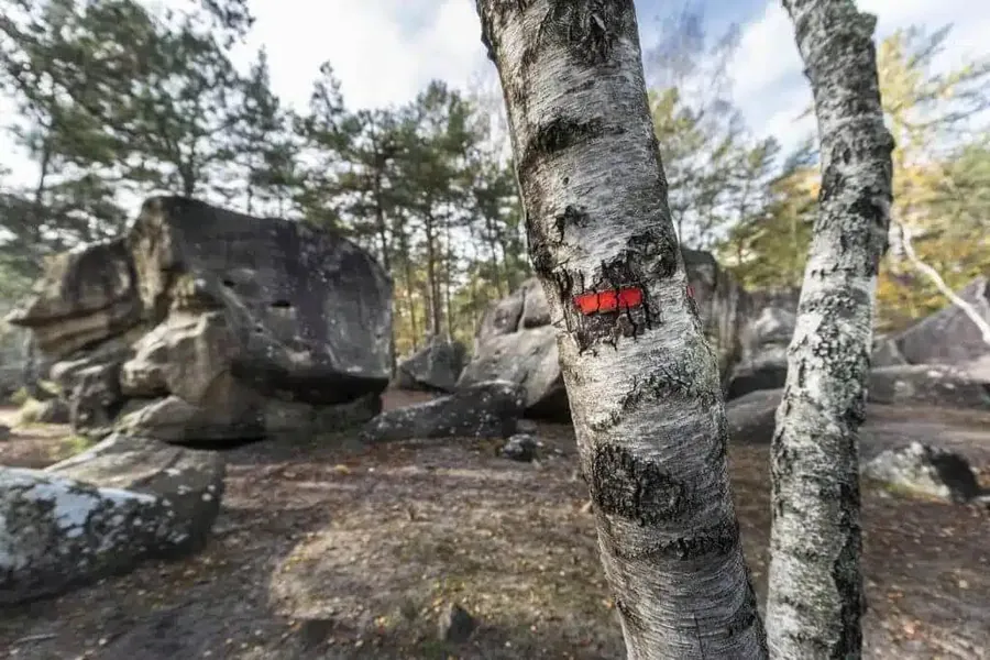 Foret Fontainebleau bloc escalade