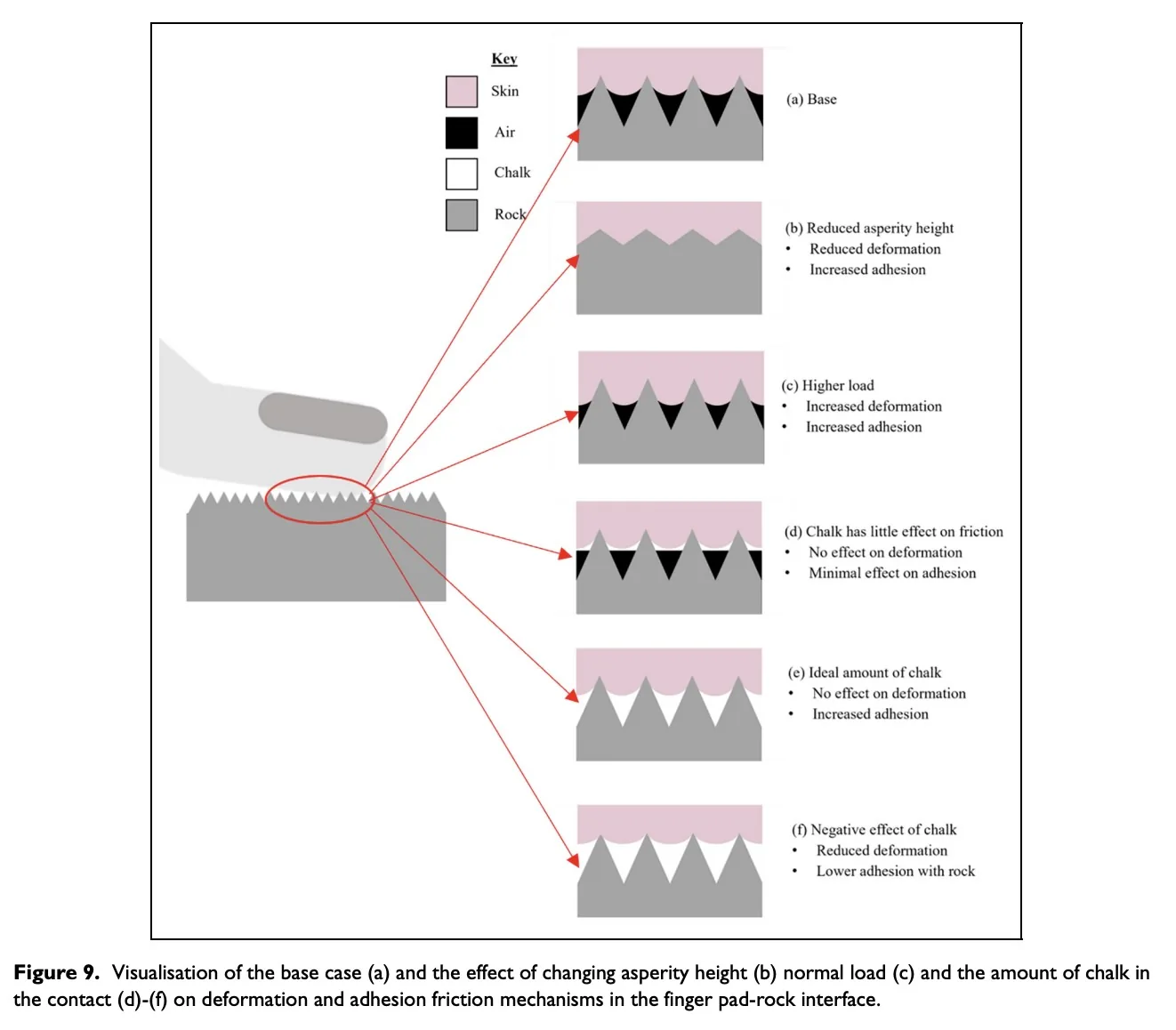 The effectiveness of chalk as a friction modifier for finger pad contact with rocks of varying roughness